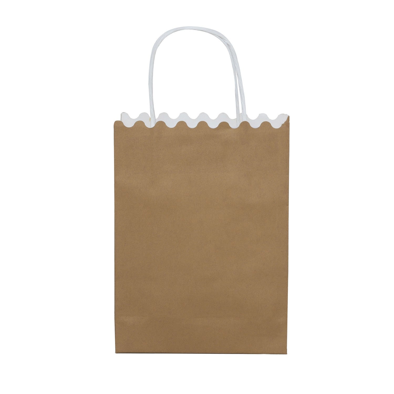 SHUBAN Plain Paper Bag for Gifting, Weddings, Anniversary, Birthday, Holiday Presents (24.5 X 18 X 8 CM ) - Set of 5 | Book Bargain Buy