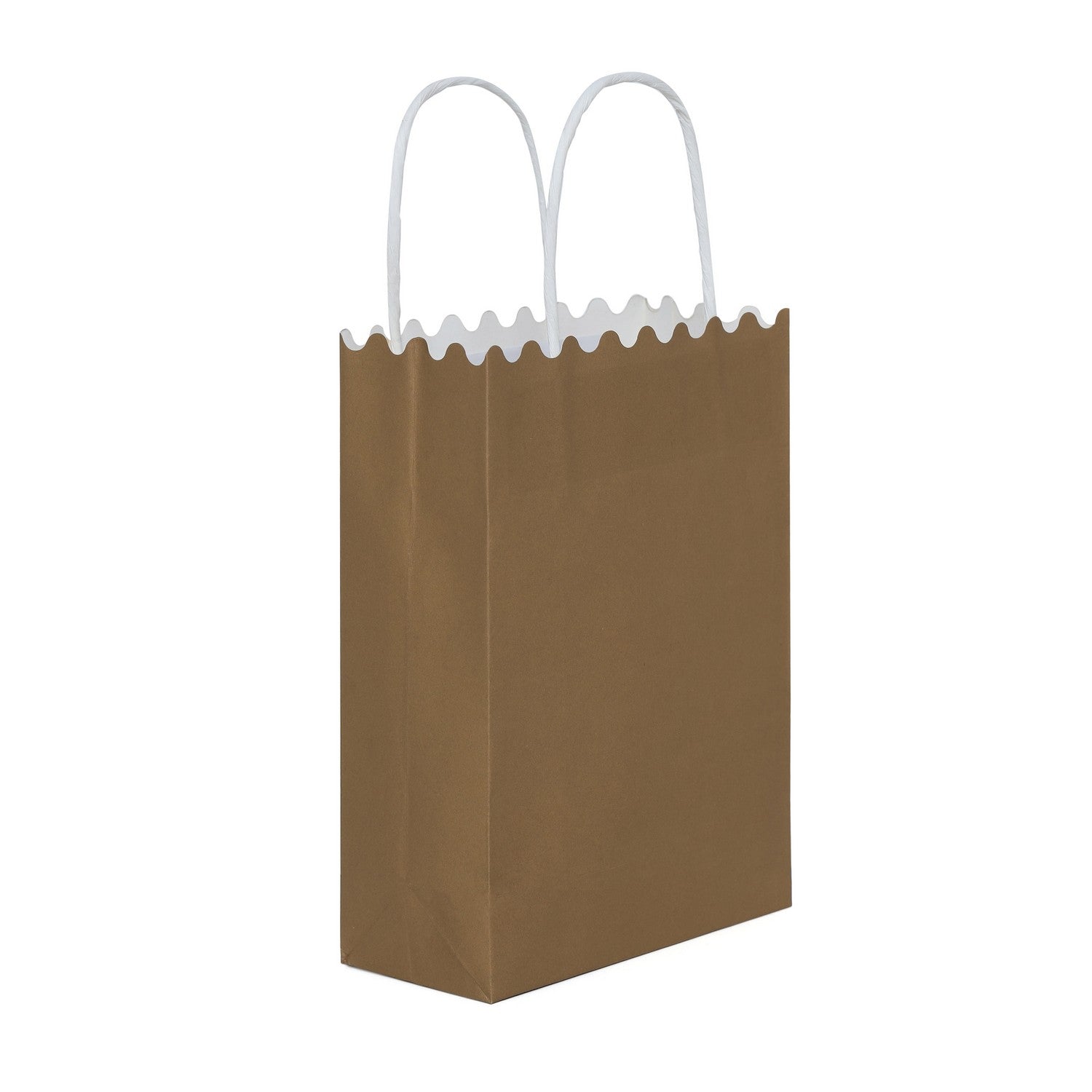 SHUBAN Plain Paper Bag for Gifting, Weddings, Anniversary, Birthday, Holiday Presents (24.5 X 18 X 8 CM ) - Set of 5 | Book Bargain Buy