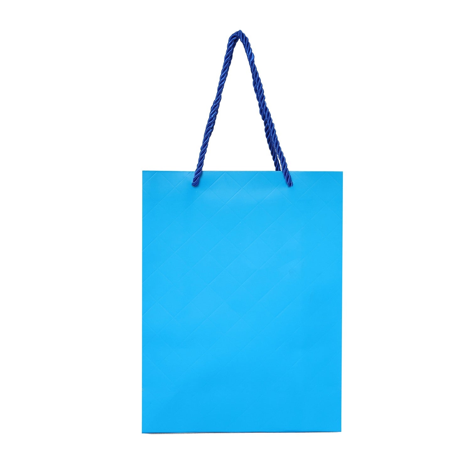 SHUBAN Plain Paper Bag for Gifting, Weddings, Anniversary, Birthday, Holiday Presents (24.5 X 19 X 8 CM ) - Set of 5 | Book Bargain Buy