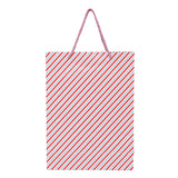 SHUBAN Stripped Paper Bag for Gifting, Weddings, Anniversary, Birthday, Holiday Presents (34 X 25 X 10 CM ) - Set of 5 | Book Bargain Buy
