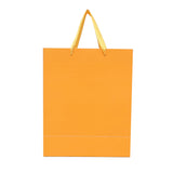 Shuban Plain Paper Bag for Gifting, Weddings, Anniversary, Birthday, Holiday Presents (32 X 26 X 12 CM ) - Set of 5 | Book Bargain Buy