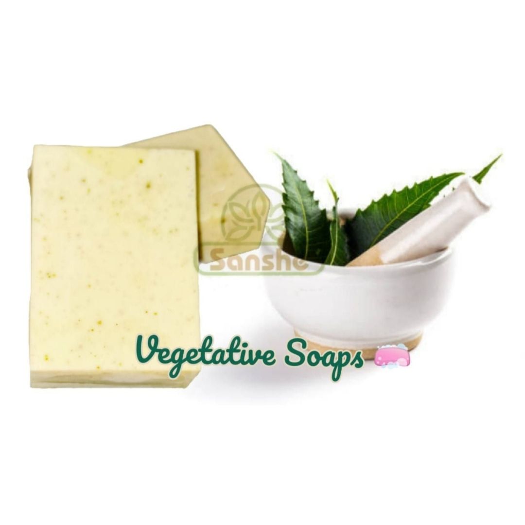 Vegetative Soaps for Family, Skin Brightening Soap with Herbs (2*100=200g) | Book Bargain Buy