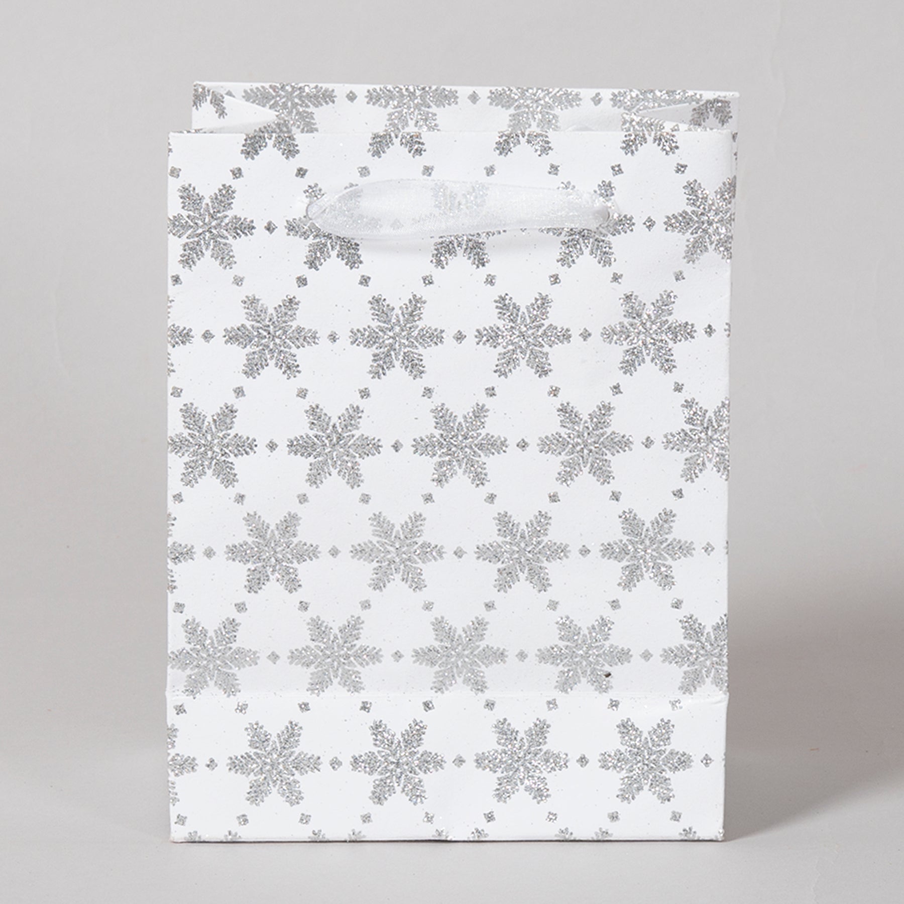 Snowflake White & Silver Color Handmade Paper Small Bag (Set of 2) | Book Bargain Buy