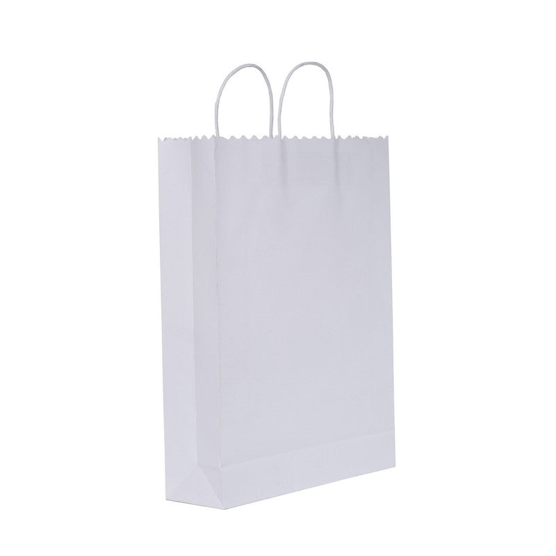Shuban Plain Zig Zag Cut Paper Bag for Gifting, Weddings, Anniversary, Birthday, Holiday Presents (43 X 31.5 X 9.5 CM ) - Set of 5 | Book Bargain Buy