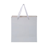 Shuban Plain Paper Bag for Gifting, Weddings, Anniversary, Birthday, Holiday Presents (20 X 20 X 8 CM ) - Set of 5 | Book Bargain Buy