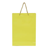 Shuban Plain Paper Bag for Gifting, Weddings, Anniversary, Birthday, Holiday Presents (33 X 24 X 8 CM ) - Set of 5 | Book Bargain Buy
